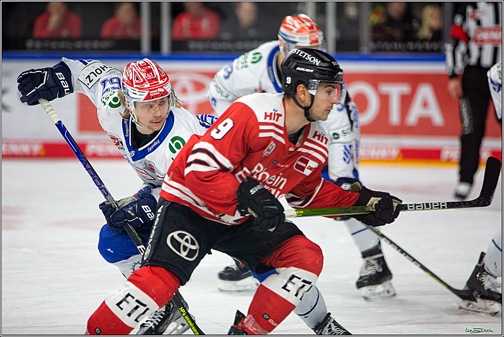 PENNY DEL; Koelner Haie- Schwenninger Wild Wings; Koeln, 18.01.2023